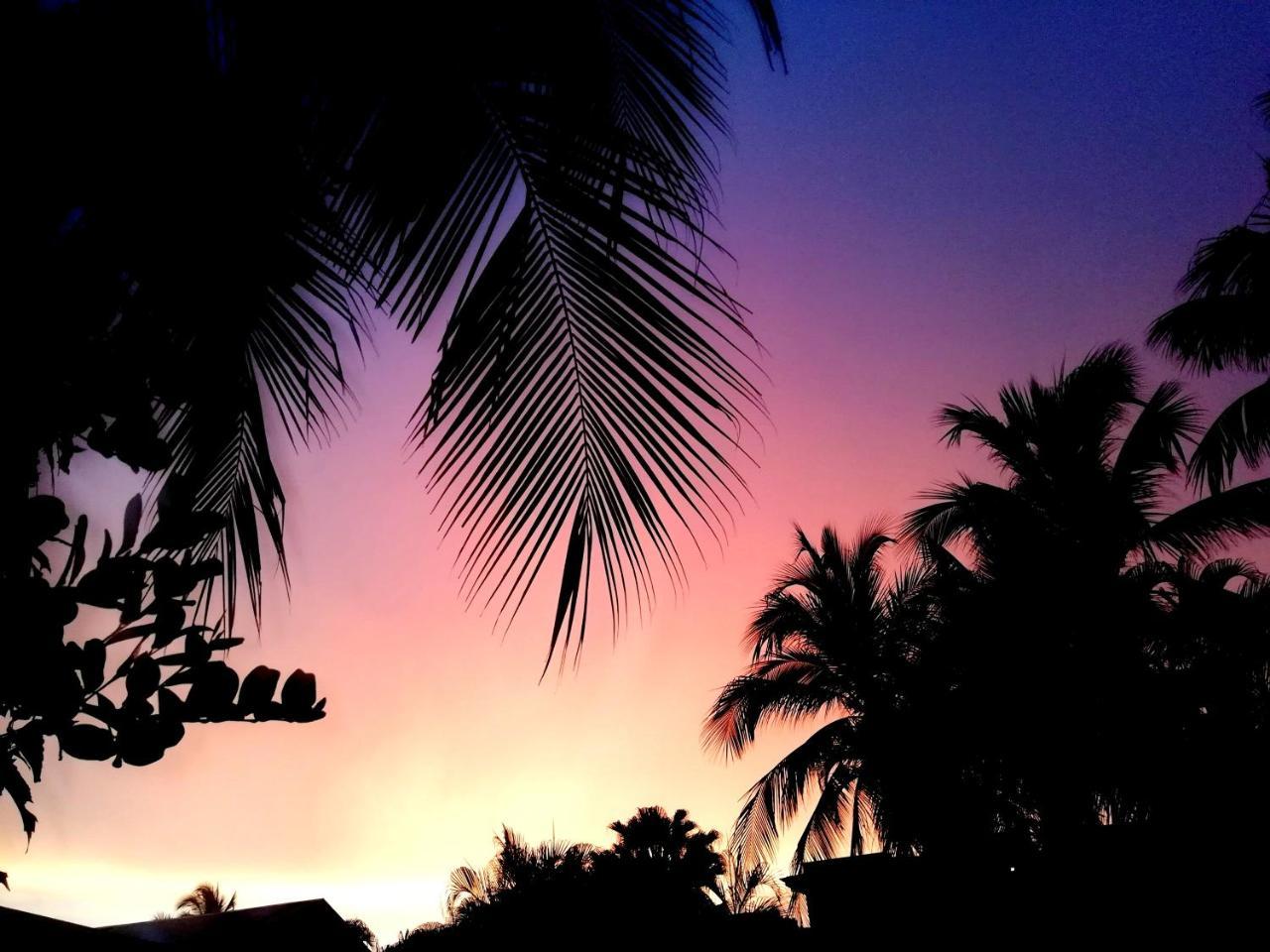 Hotel El Jardin 2*