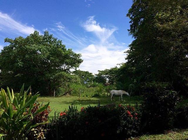 Blue Zone Retreat Lodge *