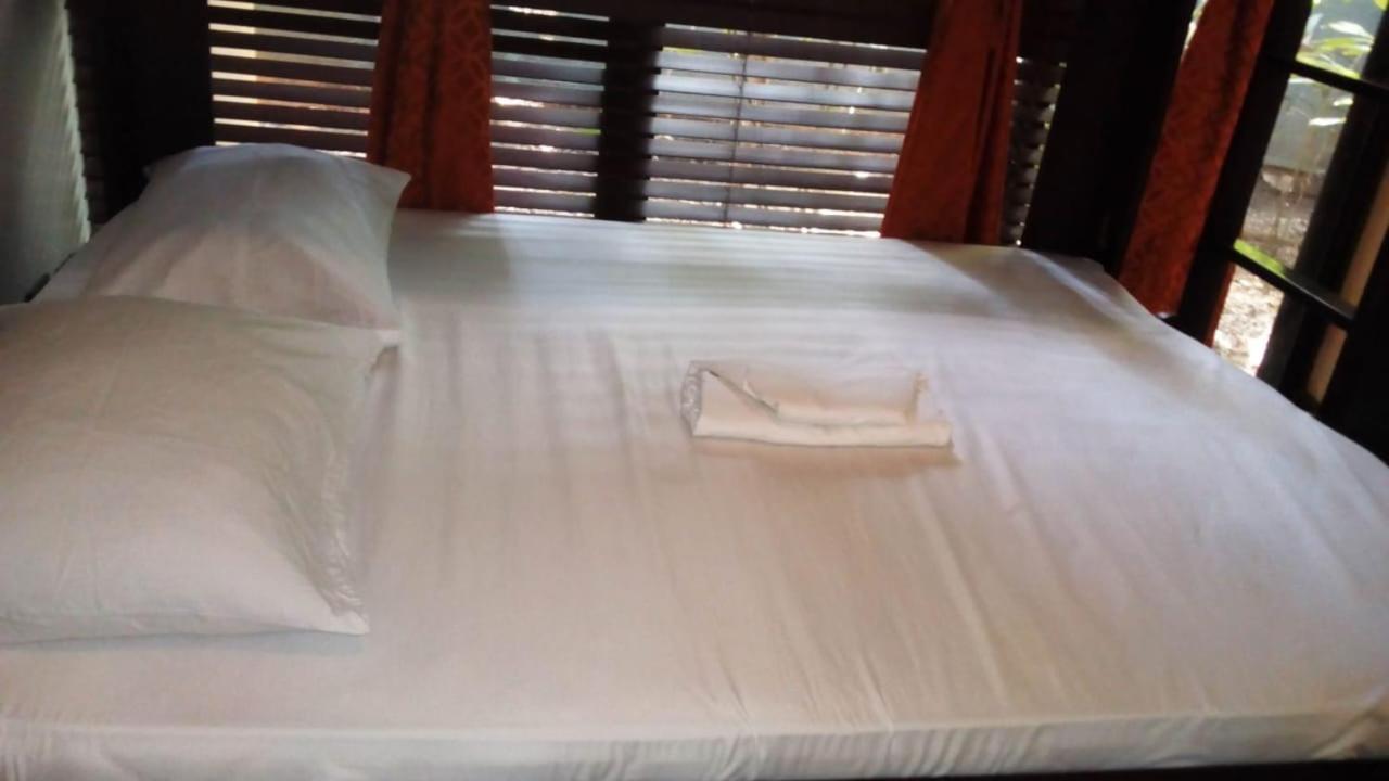 Cabinas Surf Arribadas
