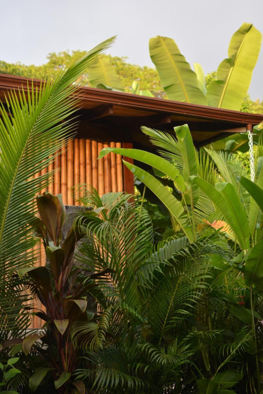 Casas De Agua