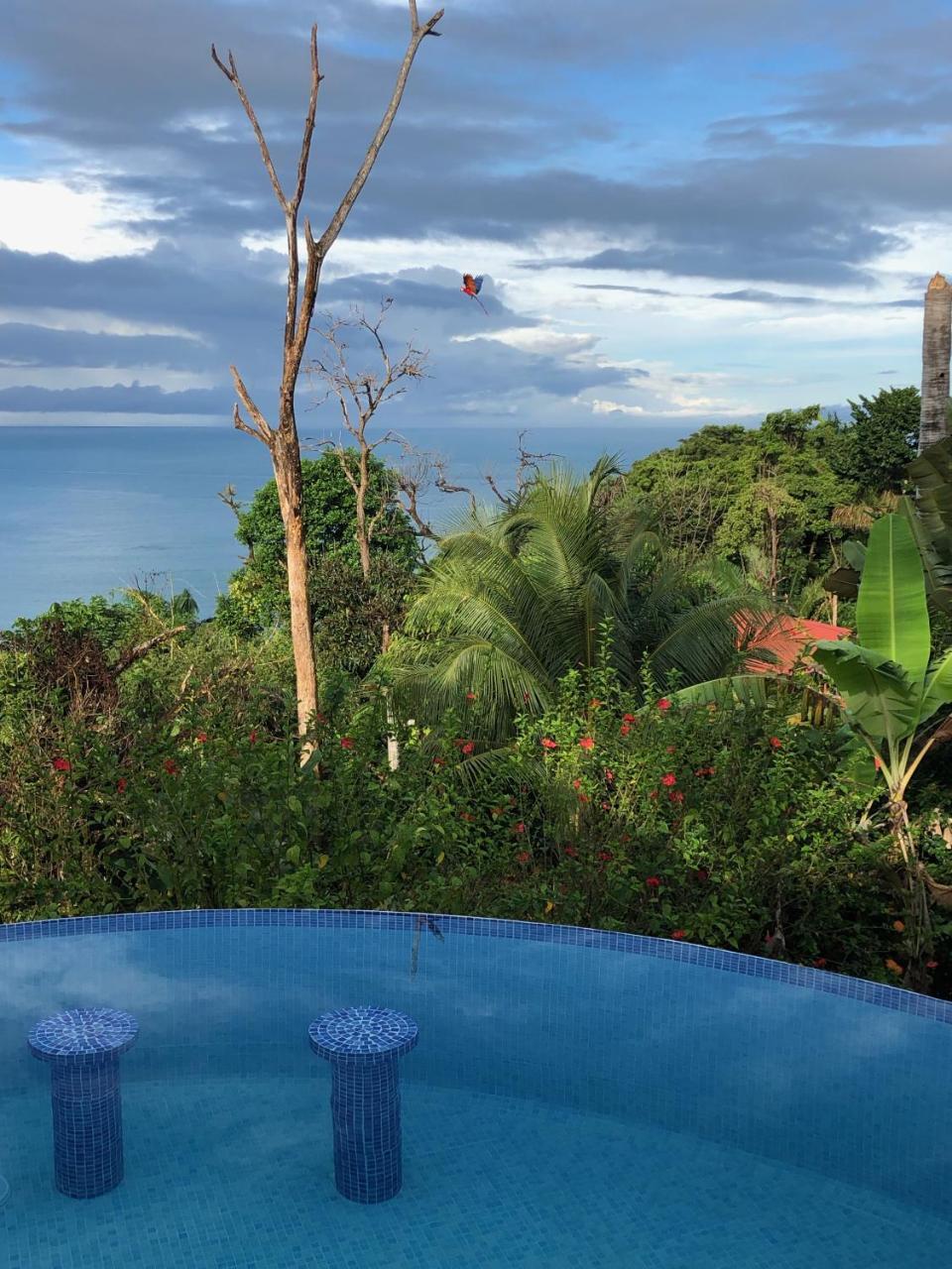Camila 1 - Ocean, Nature, Relax, Central *
