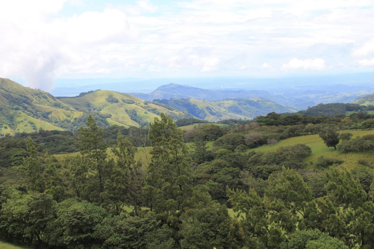 Bosque 2* Monteverde