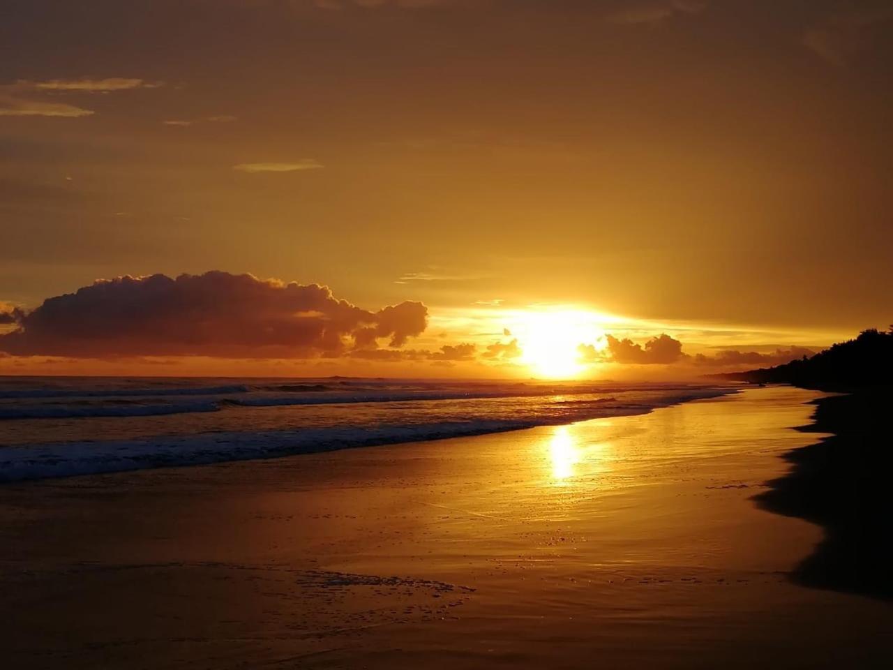 La Isla Parrita