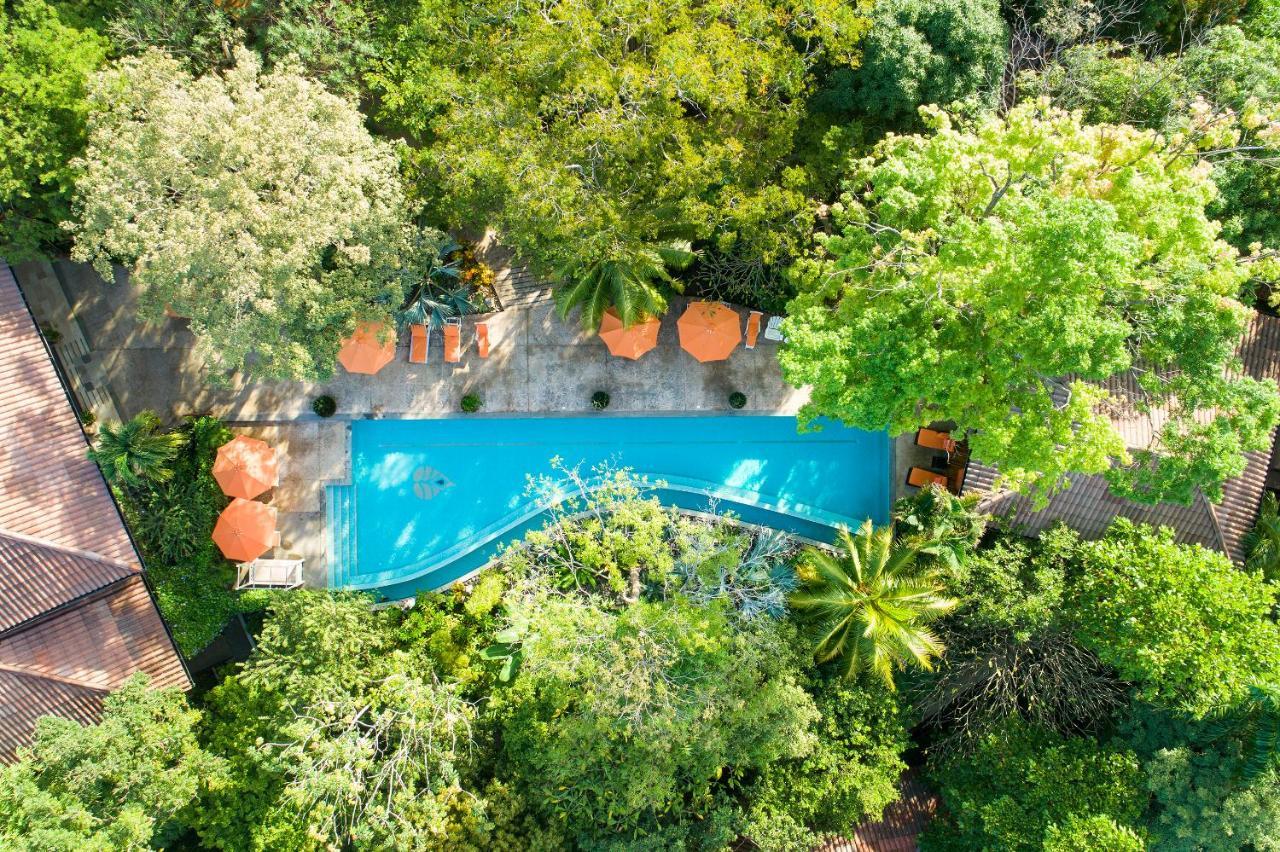Resort Bodhi Tree Yoga Nosara