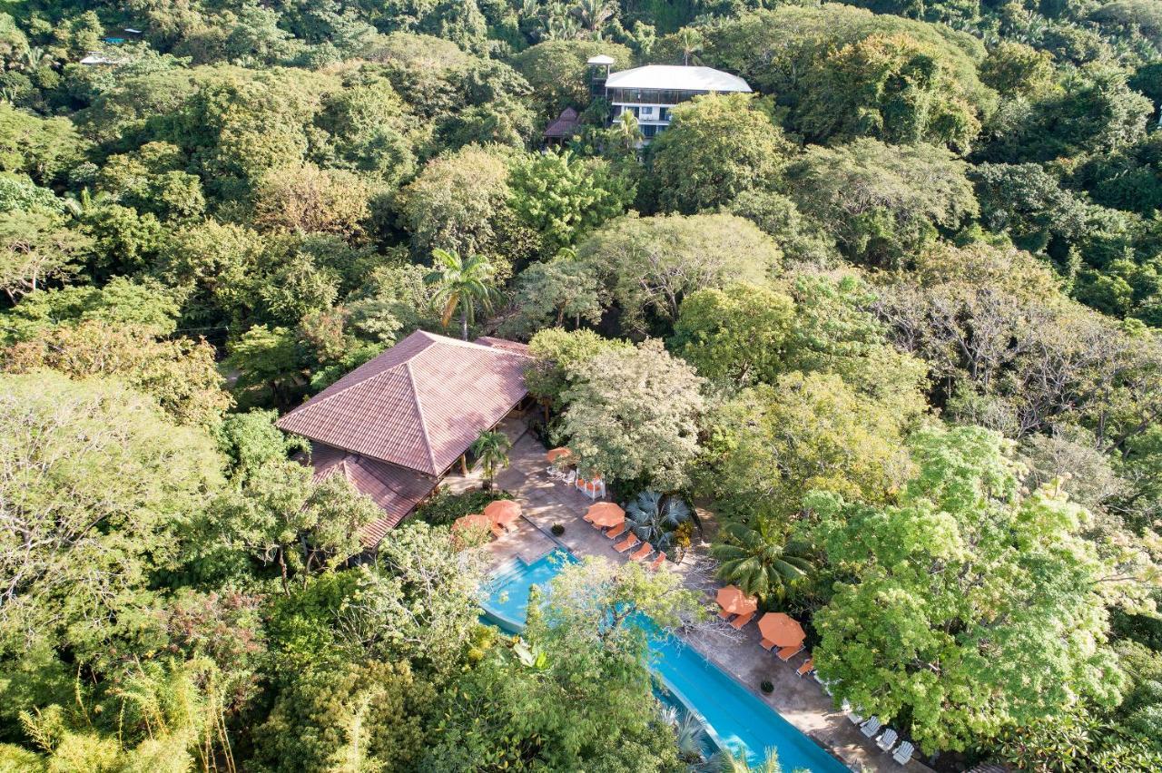 Bodhi Tree Yoga Resort 5*