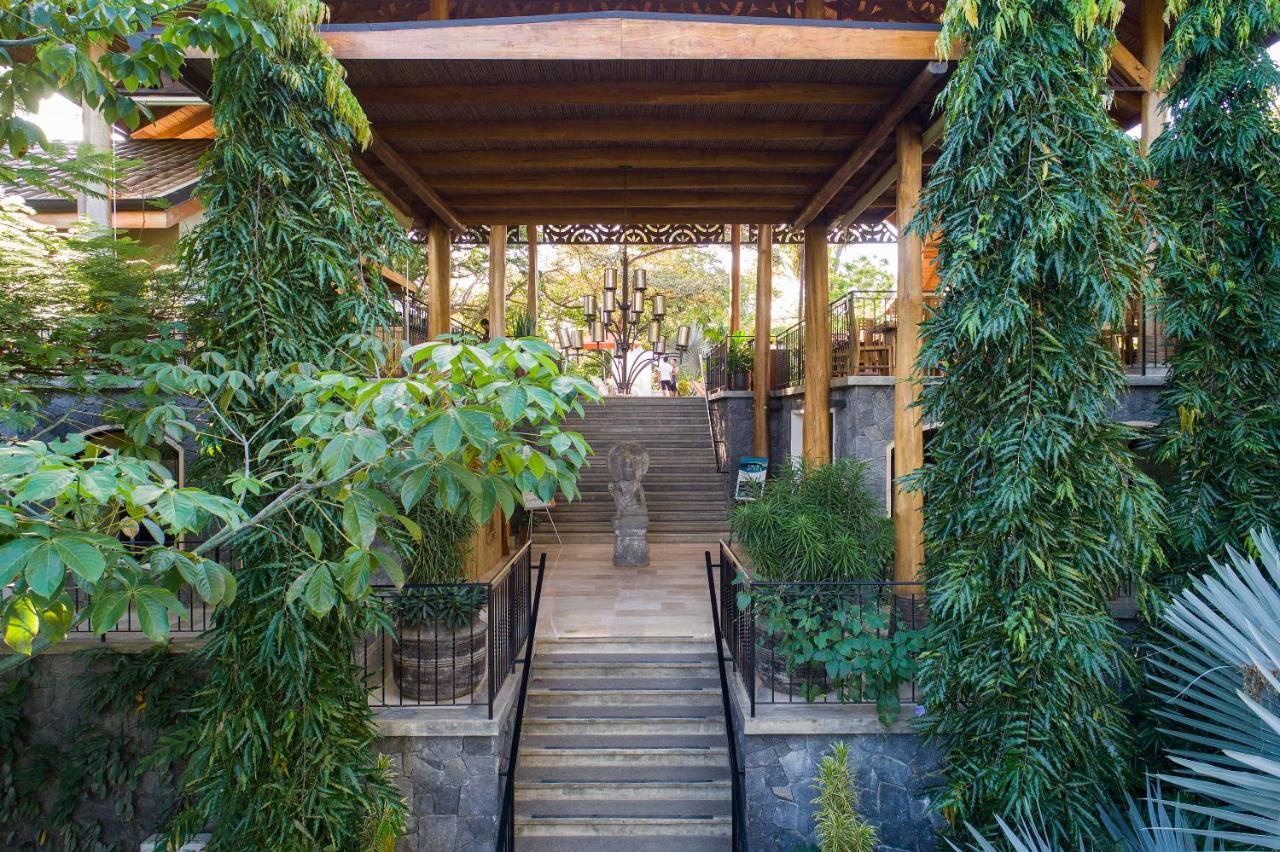 Bodhi Tree Yoga