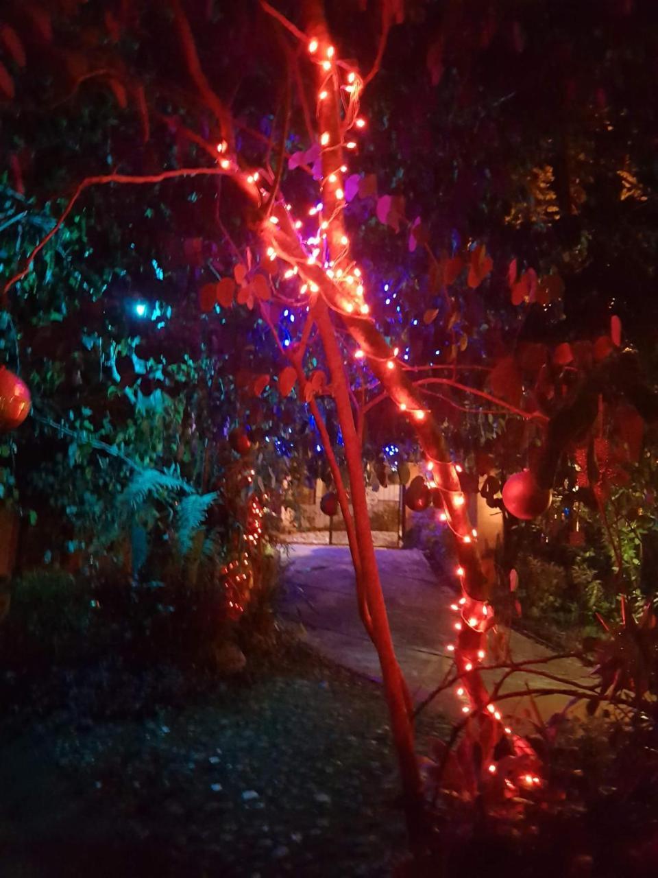 Casa Mare Nostrvm Bed & Breakfast Manuel Antonio