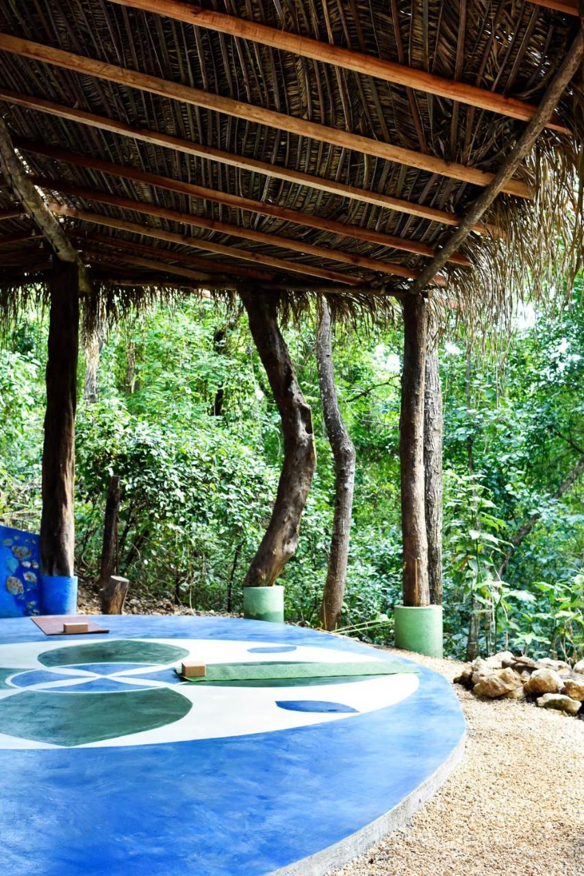 Driftwood Glamping & Boutique