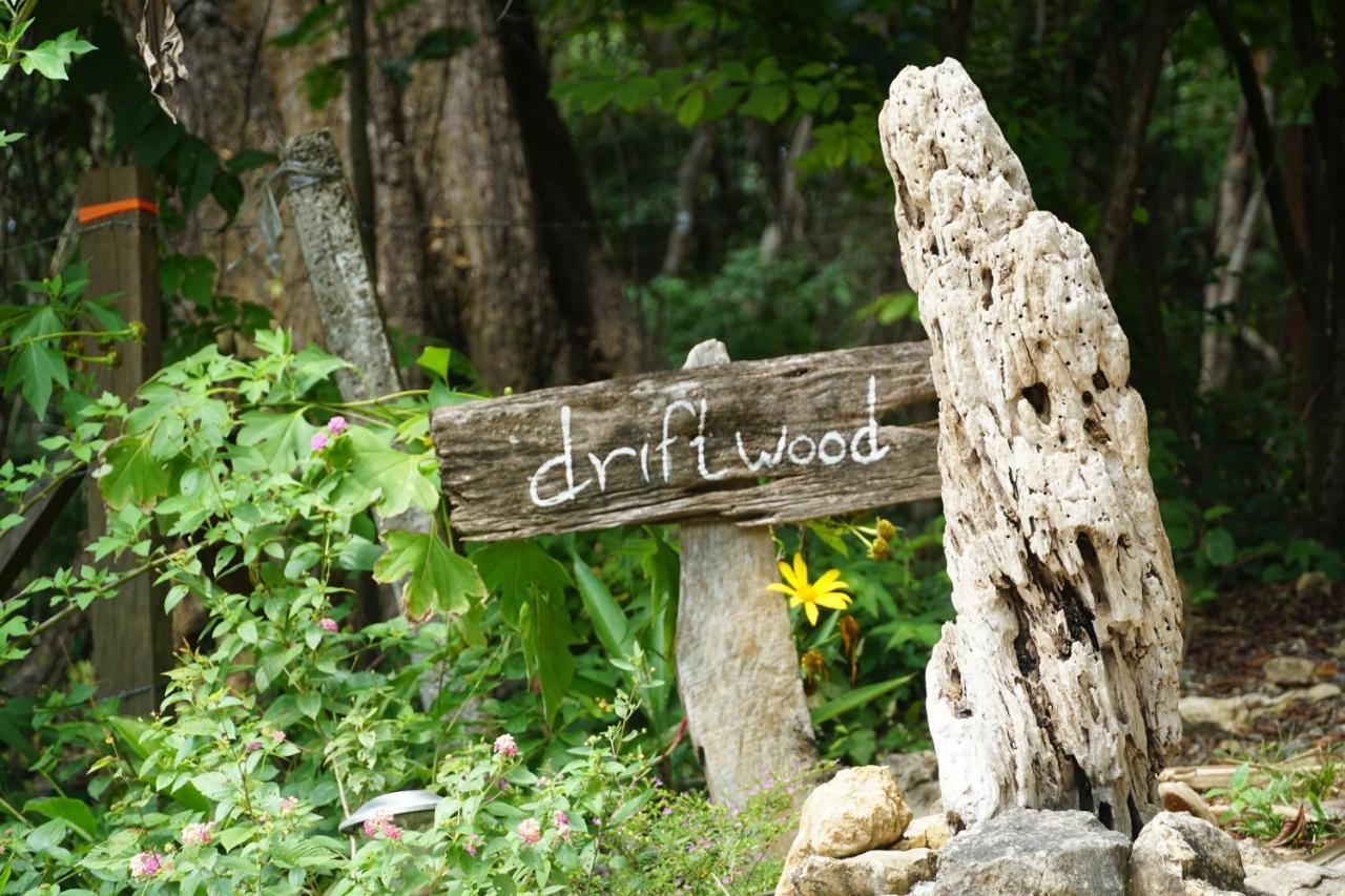 Driftwood Glamping & Boutique Luxury tent Playa Guiones