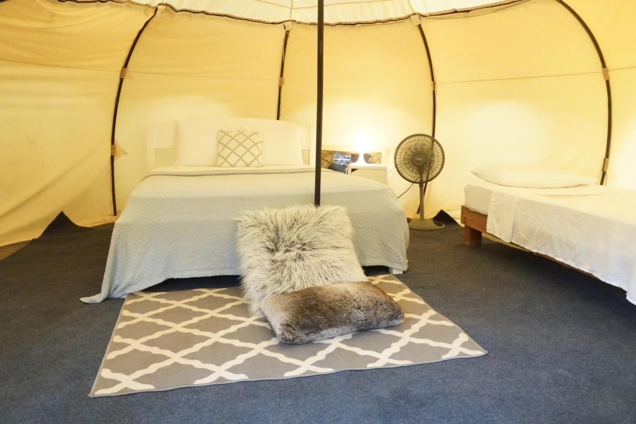 Driftwood Glamping & Boutique