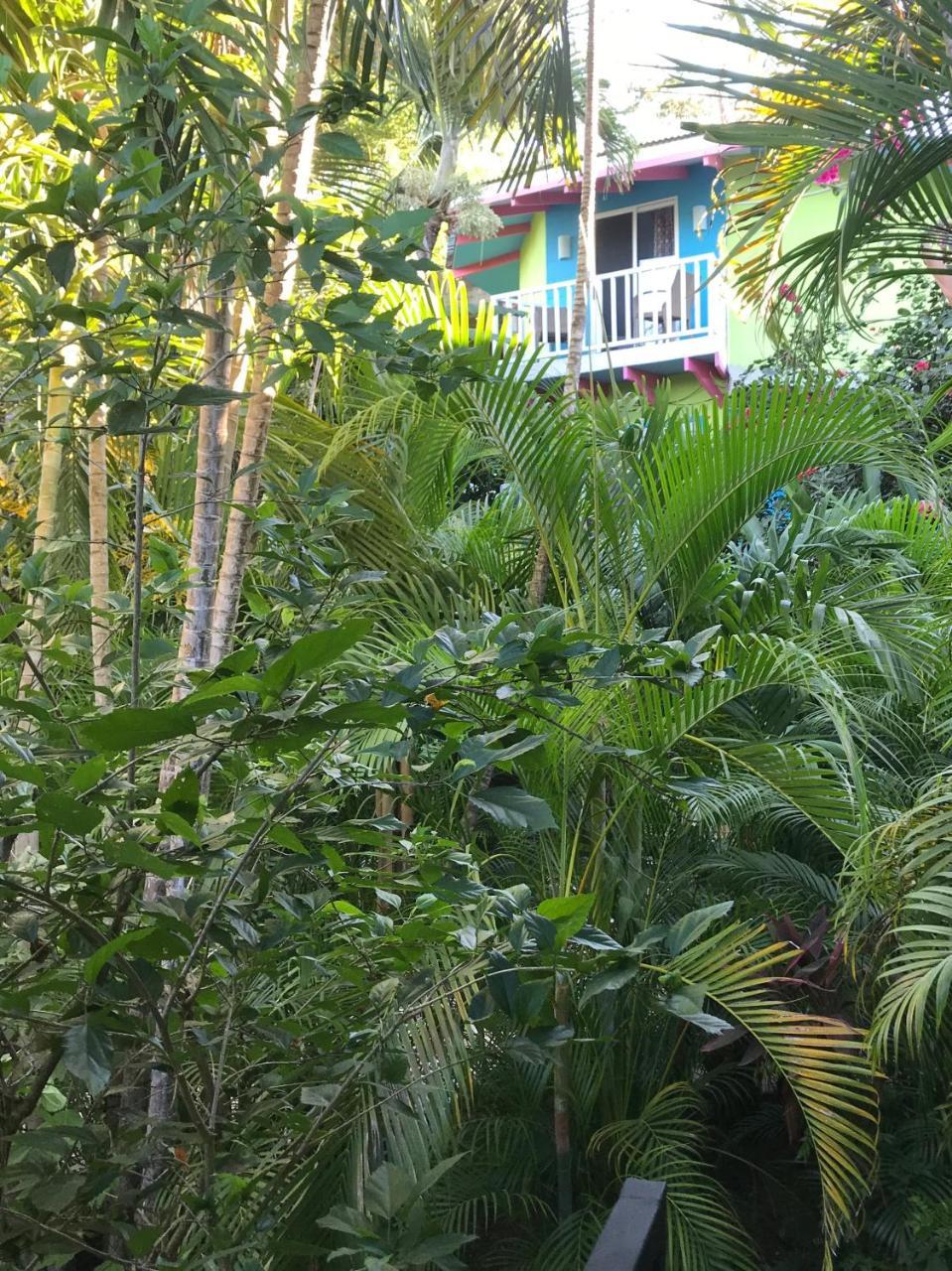 Tamarindo Village Hotel 3* Tamarindo