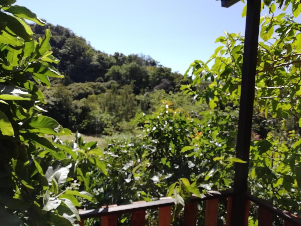 Bed & Breakfast La Guayaba Monteverde