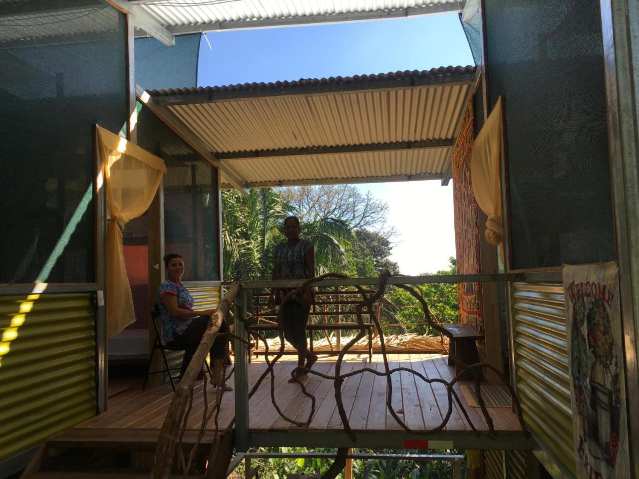 Osa Jungle *