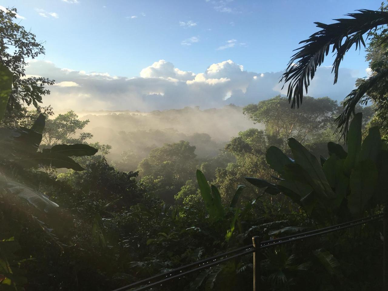 Osa Jungle * Puerto Jimenez
