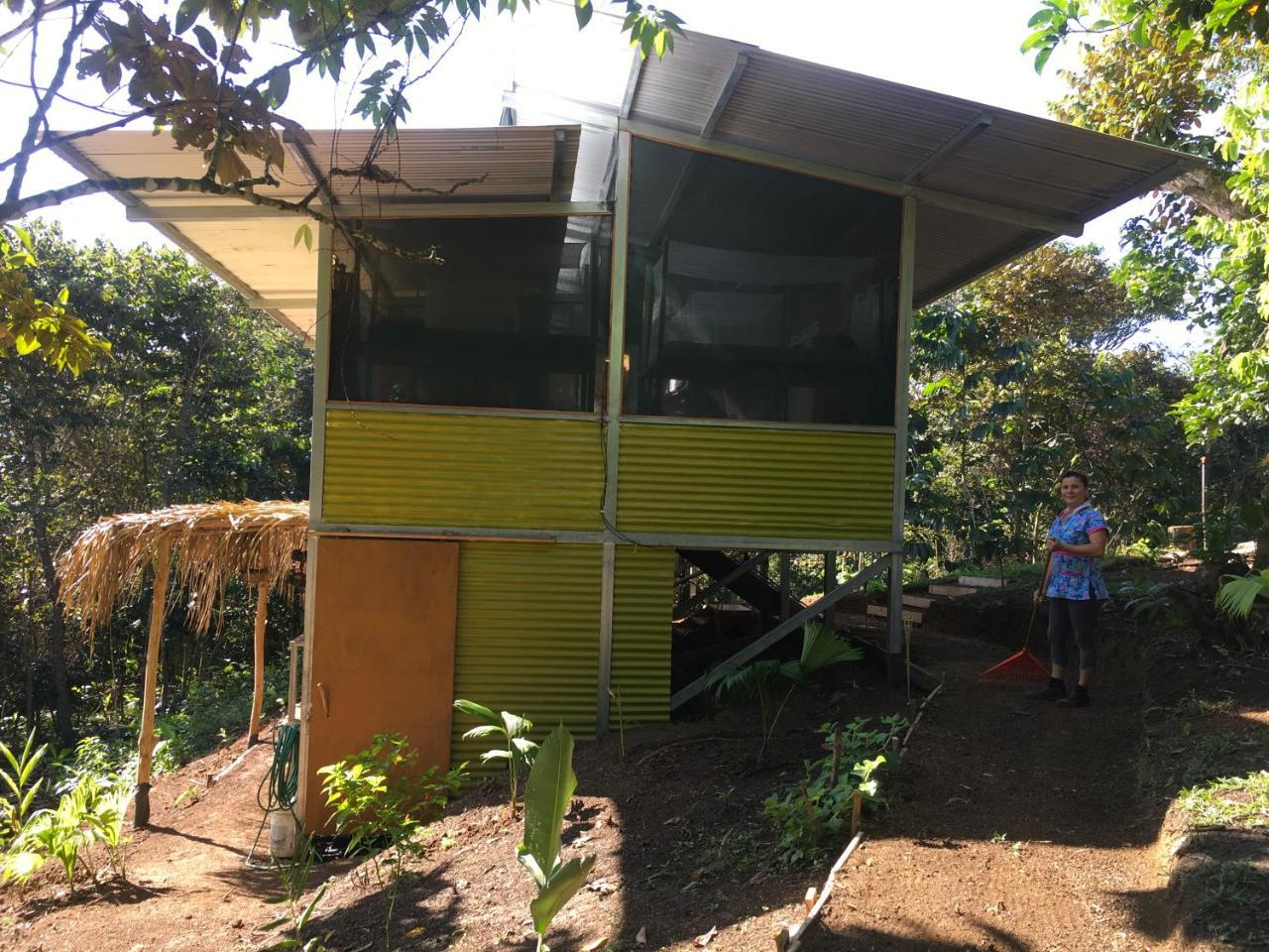 Osa Jungle Hostel *