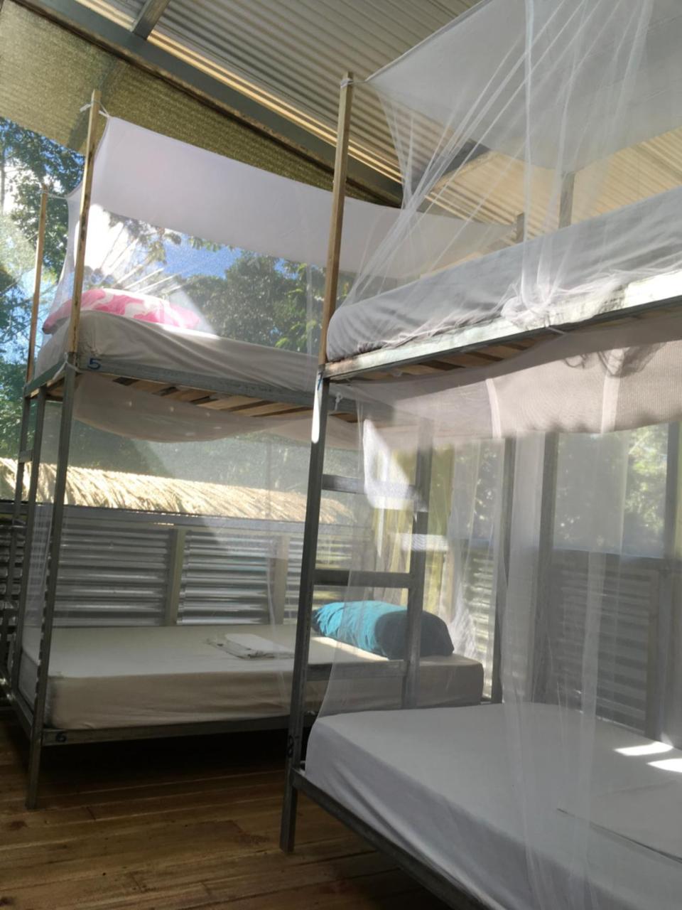 Hostel Osa Jungle *