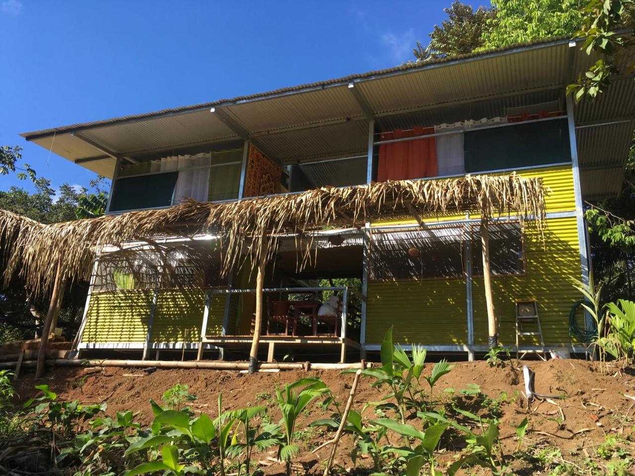 Osa Jungle Hostel Puerto Jimenez