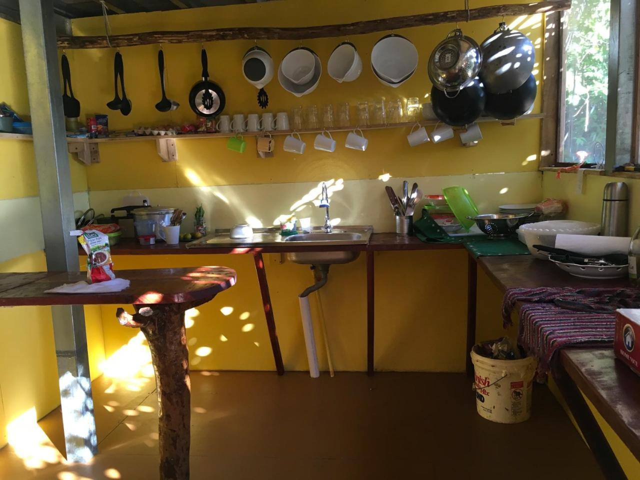 Hostel Osa Jungle *