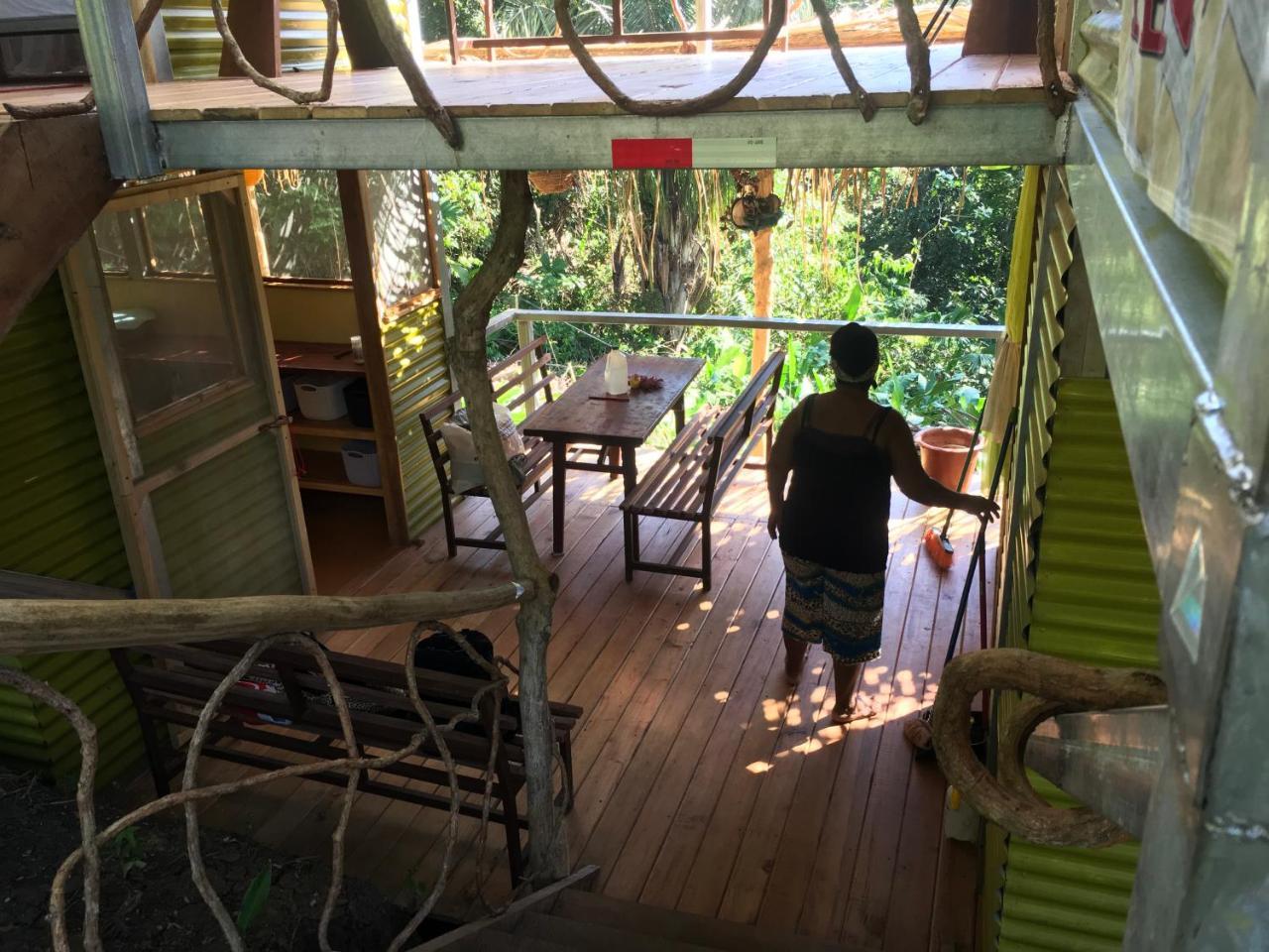 Osa Jungle * Puerto Jimenez