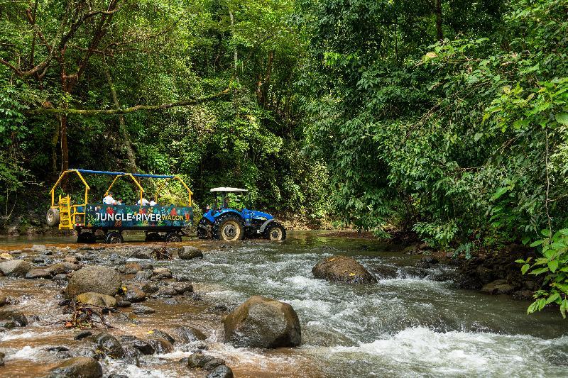 Lapas Jungle Village Tarcoles