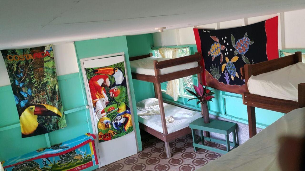 Hostel Life For Life Hostel: Sea Turtle Conservation At Drake Bay