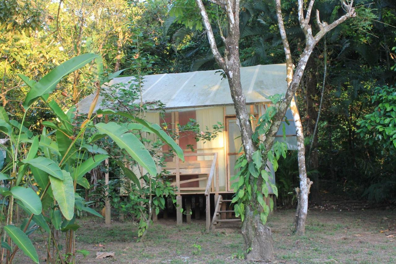 Hostel Life For Life Hostel: Sea Turtle Conservation At