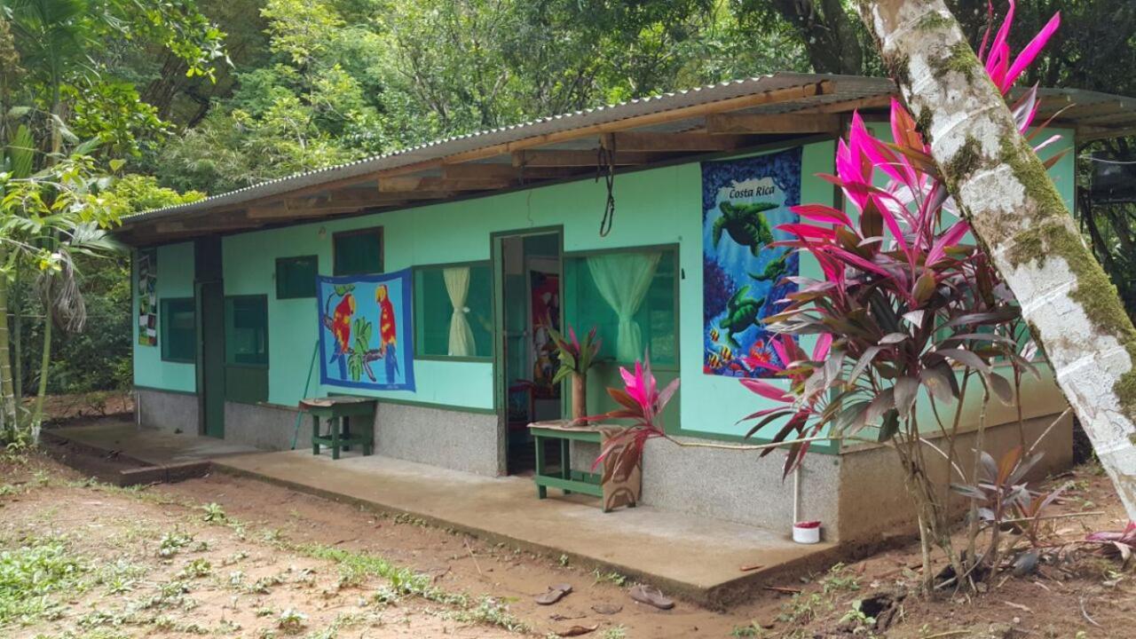 Hostel Life For Life Hostel: Sea Turtle Conservation At Drake Bay