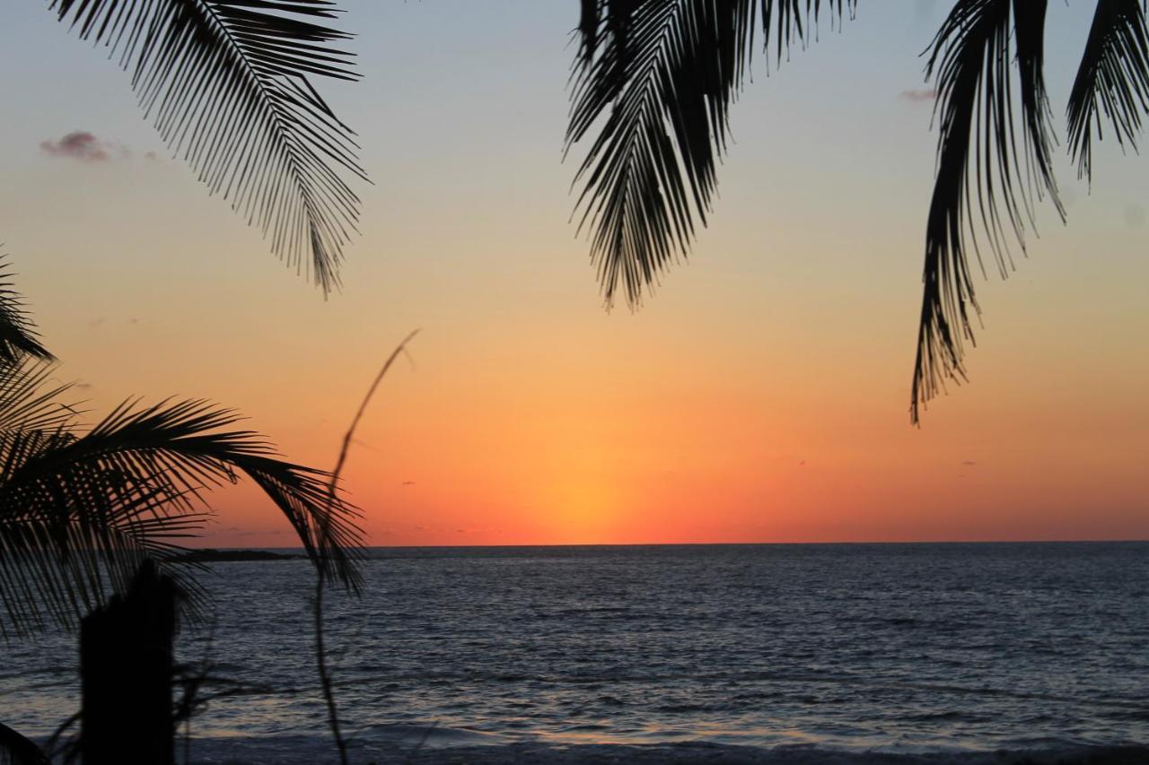 Hostel Life For Life Hostel: Sea Turtle Conservation At
