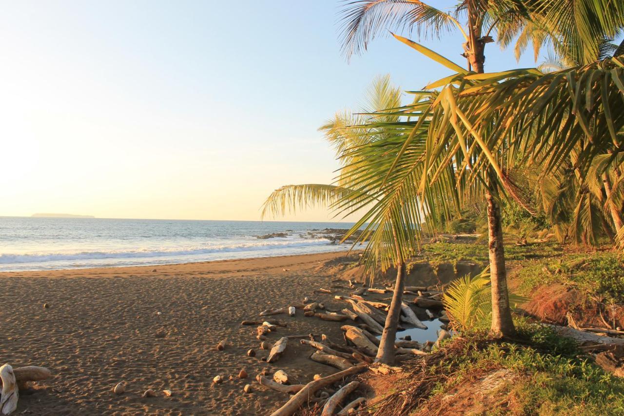 Life For Life Hostel: Sea Turtle Conservation At *