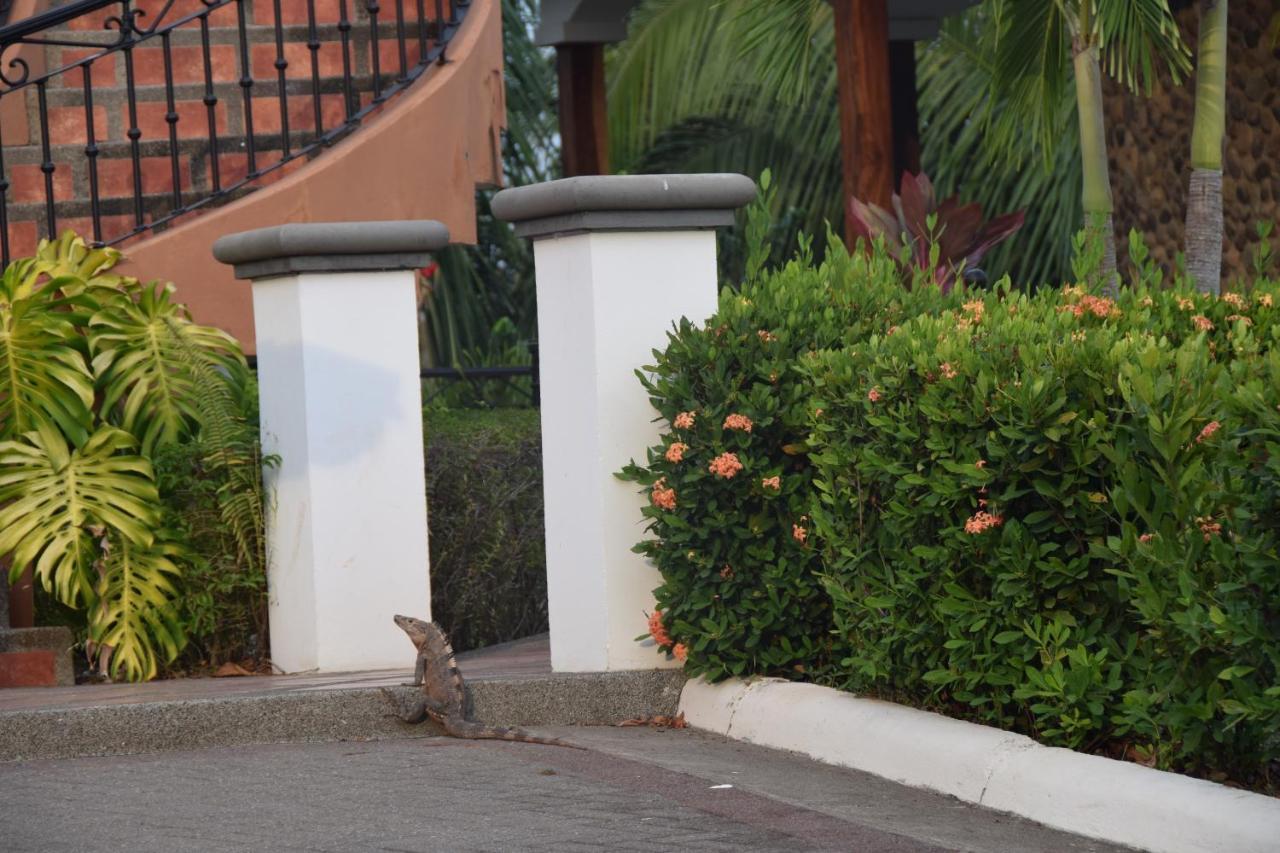 Villa Palm Coast Luxury Esterillos Este