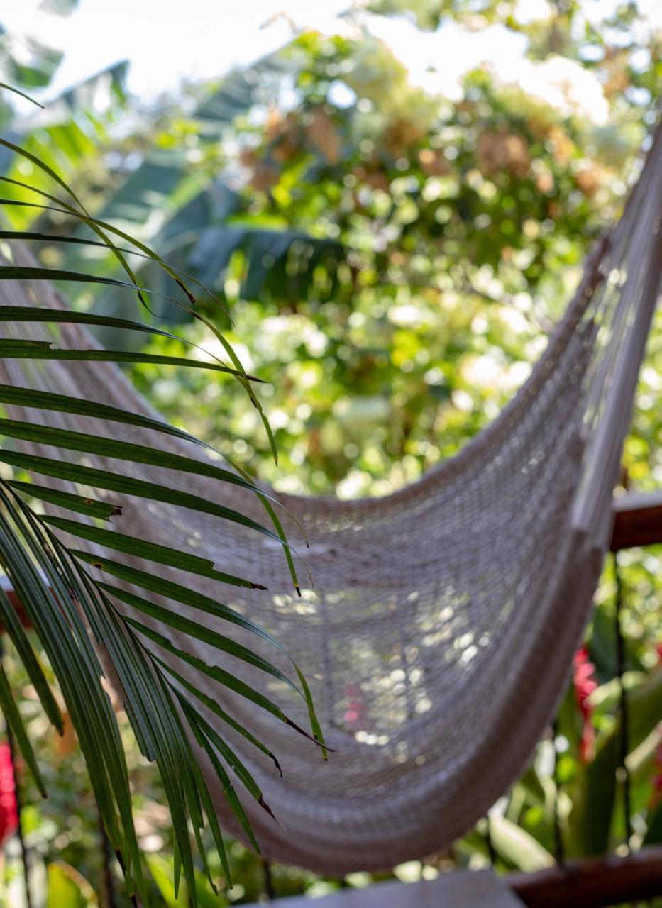 Mango Bed & Breakfast