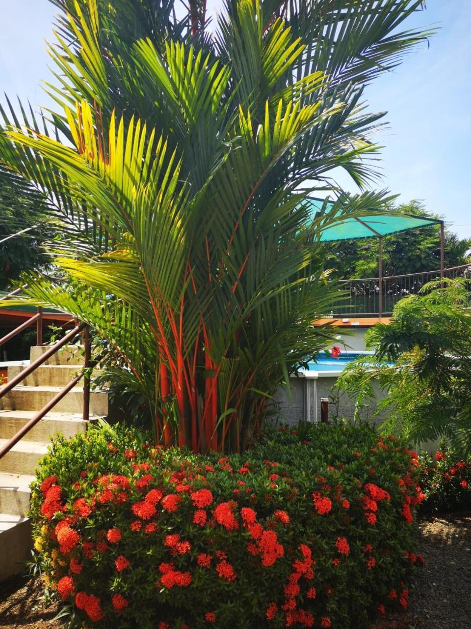 Hotel Cabinas El Tecal