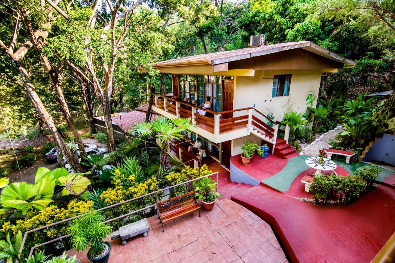Jungle Hotel