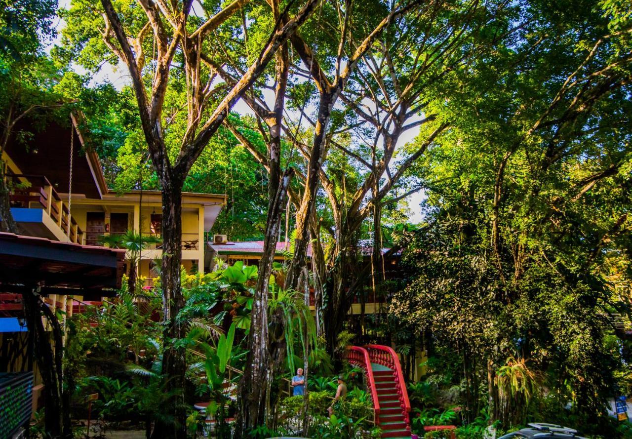 Jungle 3* Manuel Antonio