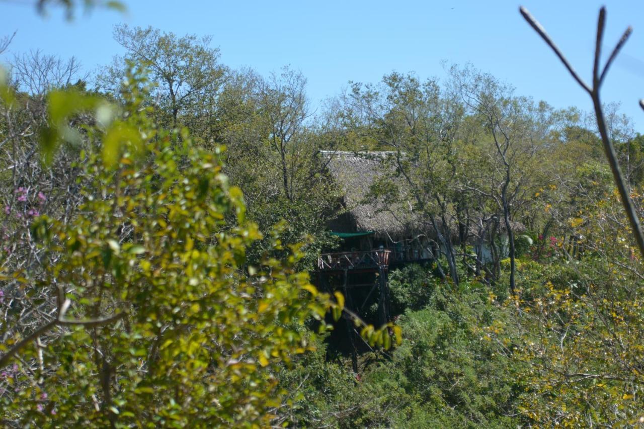 Treetops Bed & Breakfast 2*