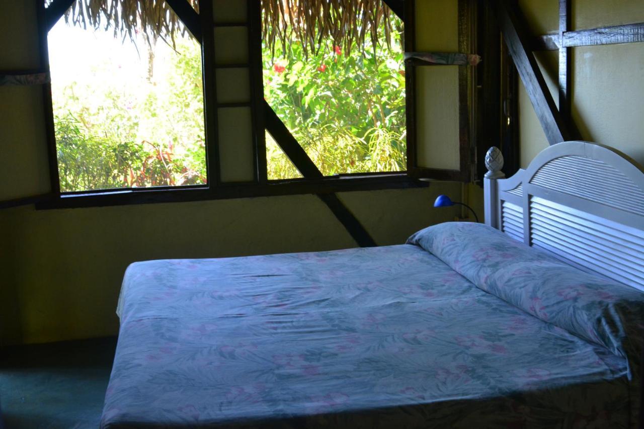 Treetops Bed & Breakfast