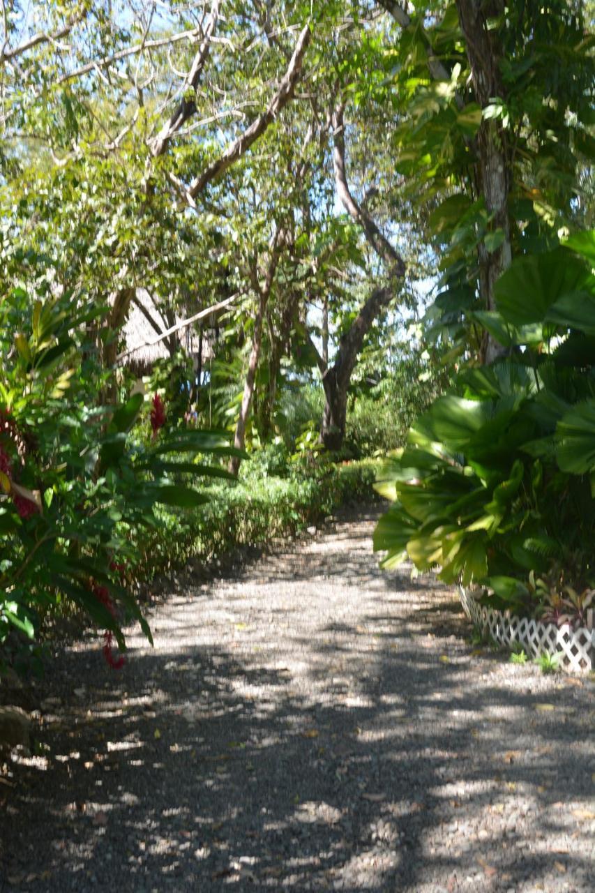 Bed & Breakfast Treetops 2*