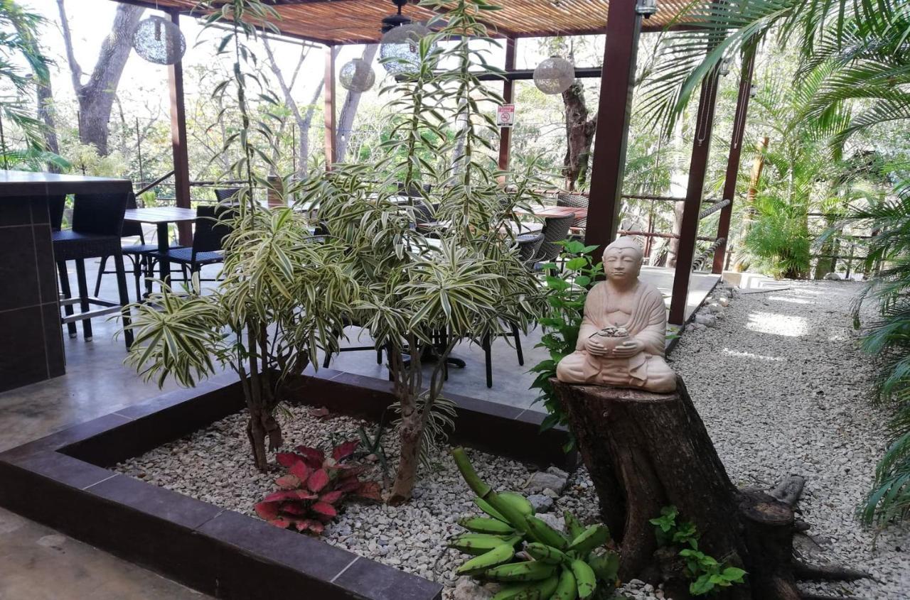 Sanctuary Nosara