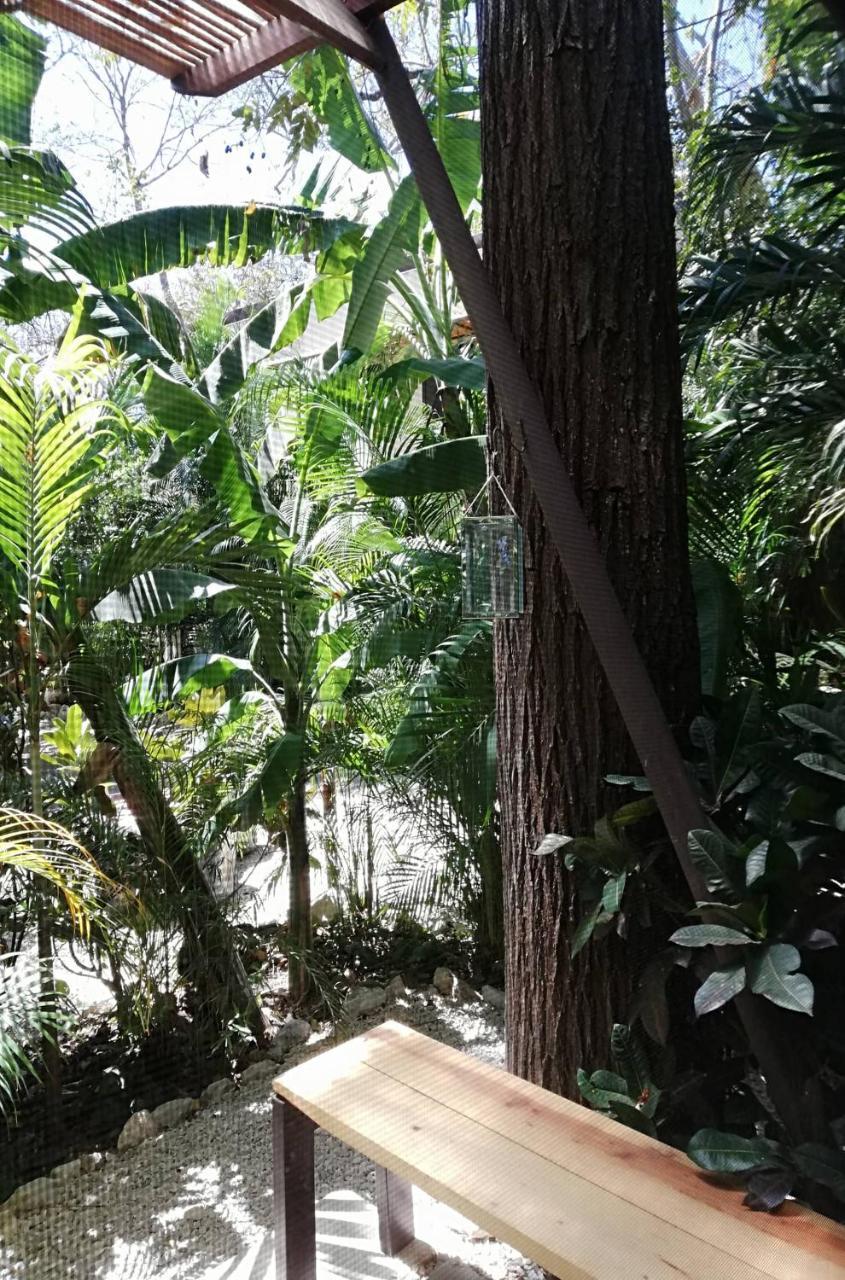 Hotel Sanctuary Nosara