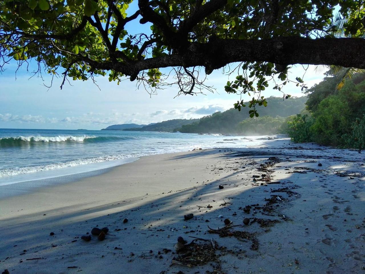 De Mar 3* Montezuma