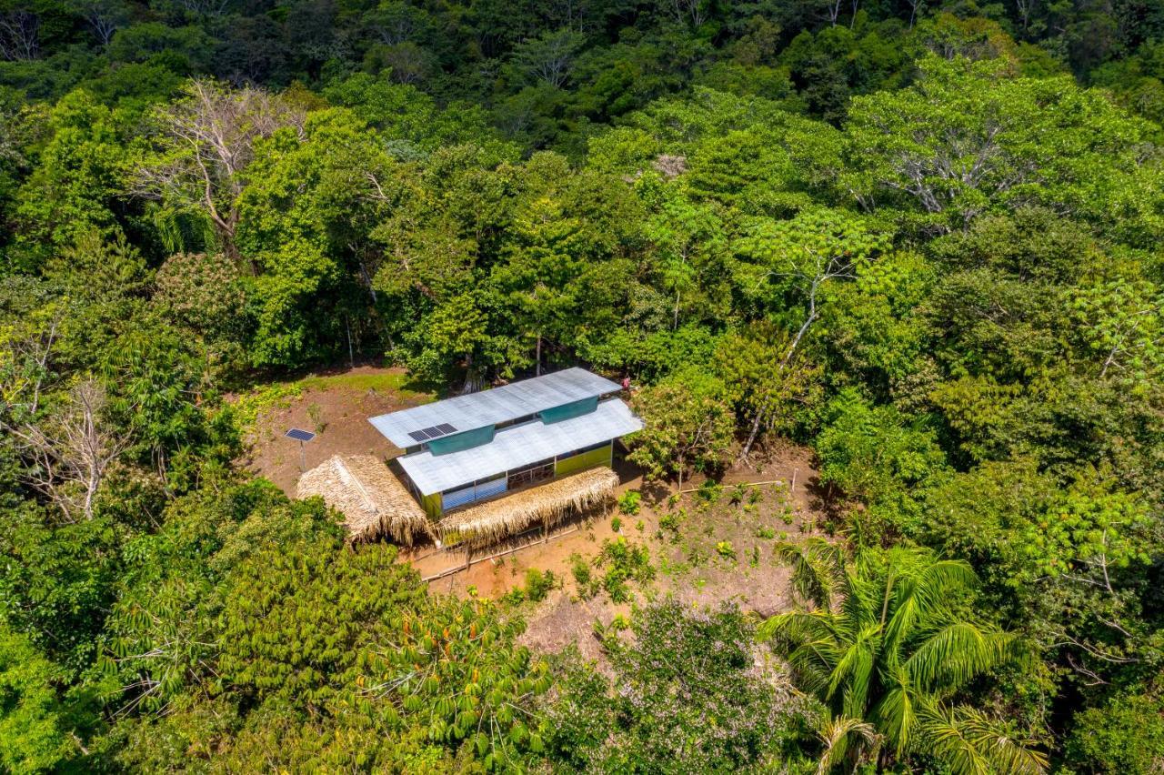 Osa Jungle