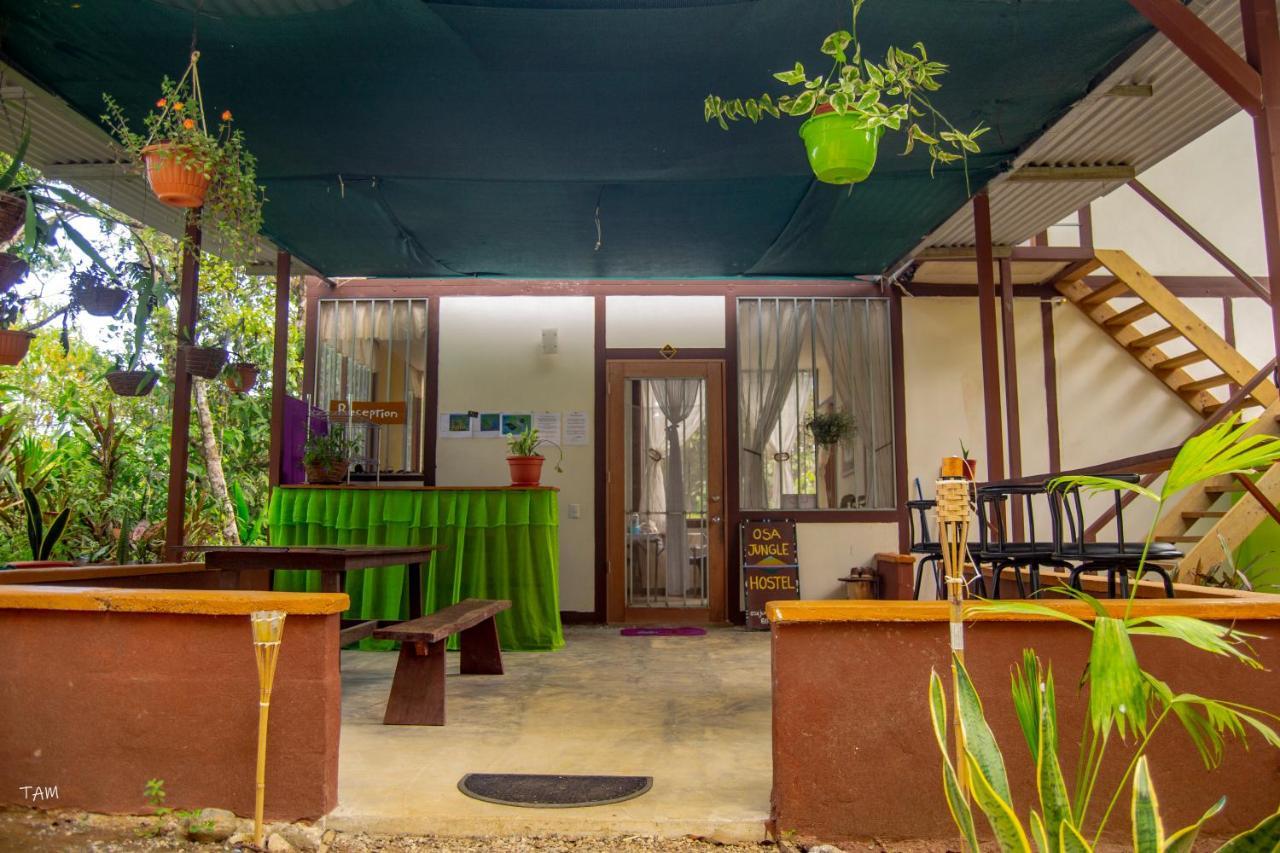 Hostel Osa Jungle