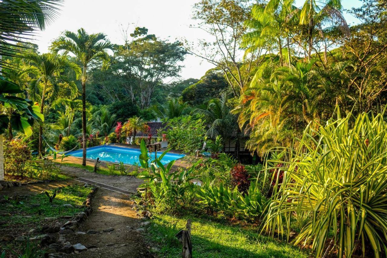 Homestay Chilantro & Hangout Ojochal