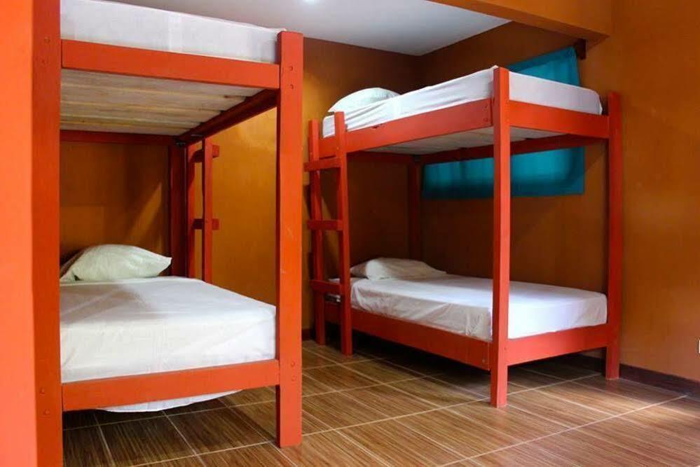 Coral Reef Surf And Camp