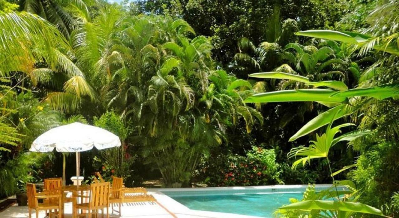 Roca Verde Beachfront Hotel Puntarenas