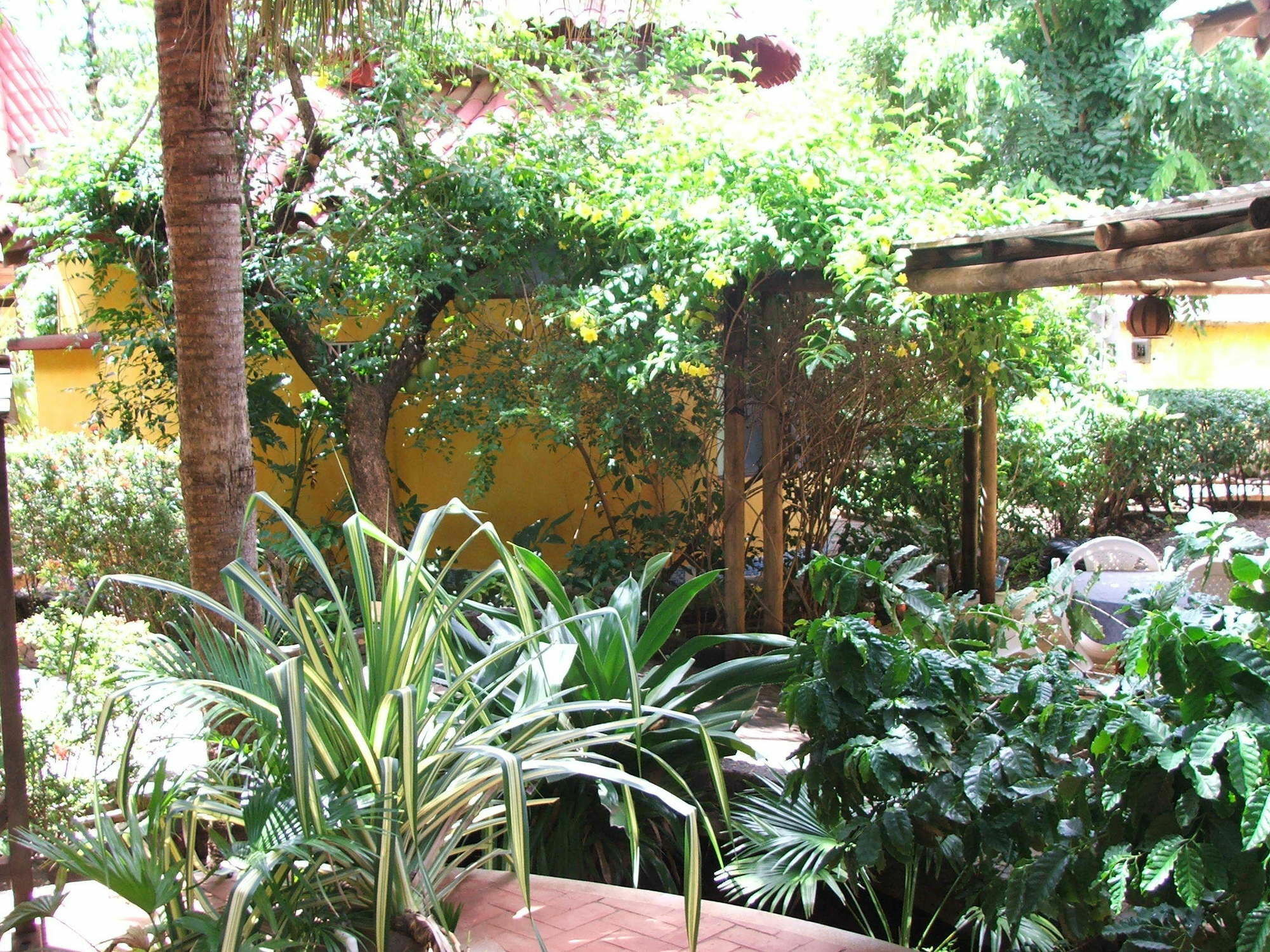 Bed & Breakfast Luna Llena