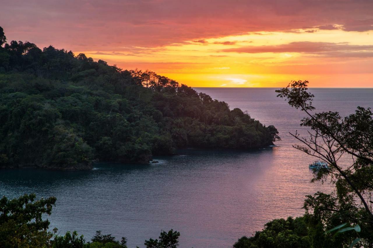Resort Monkitail @ Tulemar Manuel Antonio