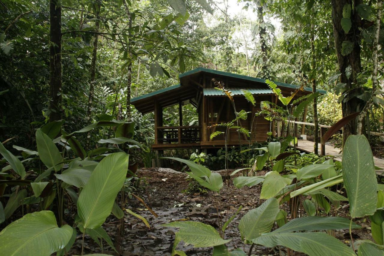 Macaw Lodge Carara