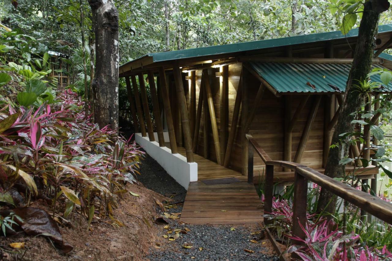 Lodge Macaw