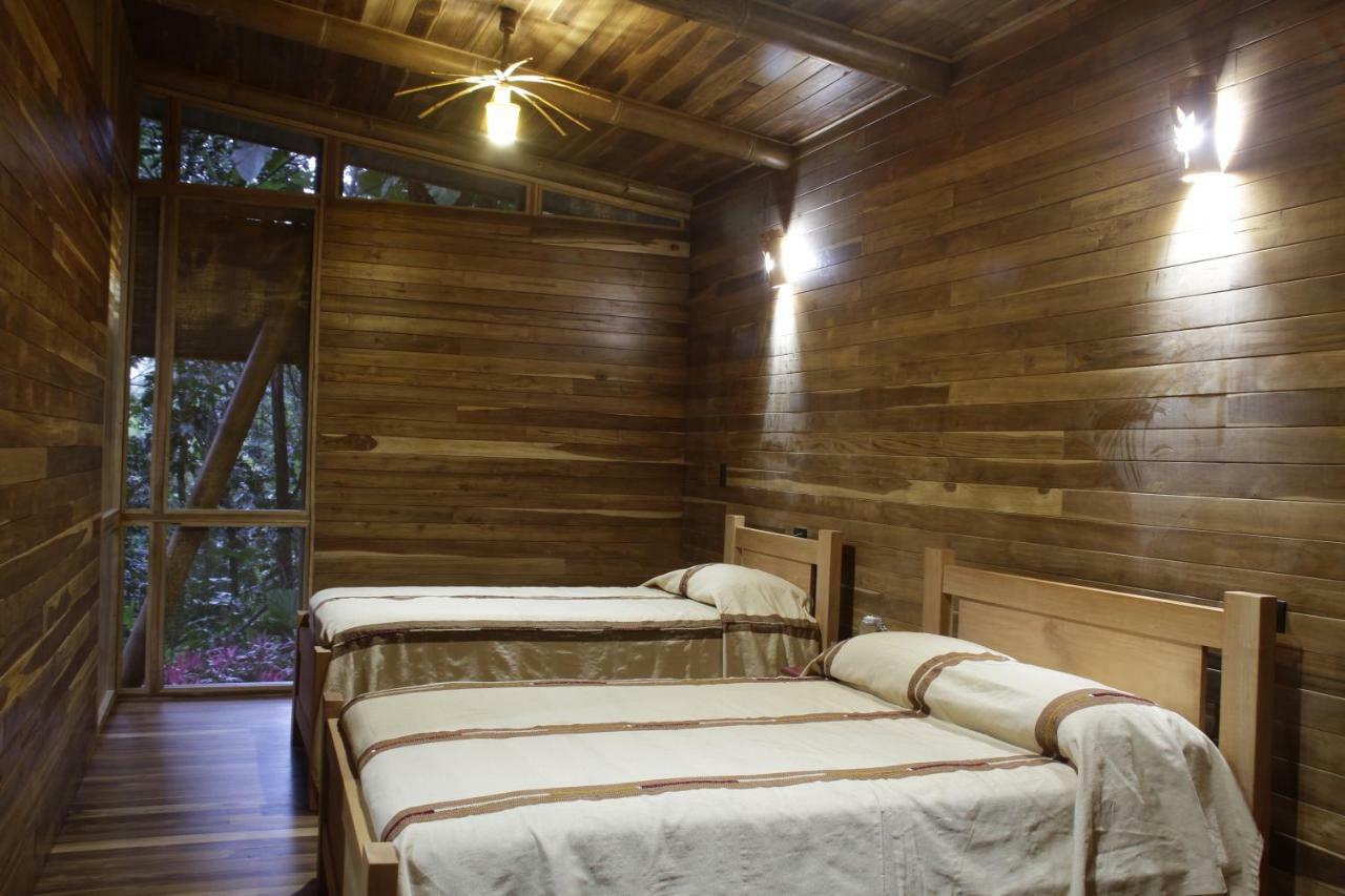 Lodge Macaw Carara